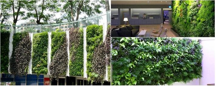 3.4.1屋頂綠化和垂直綠化